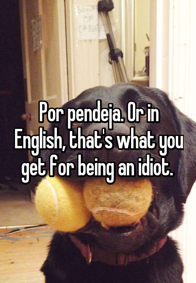 por-pendeja-or-in-english-that-s-what-you-get-for-being-an-idiot