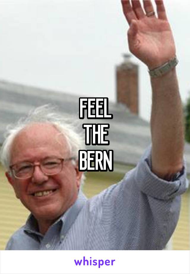 FEEL
THE
BERN