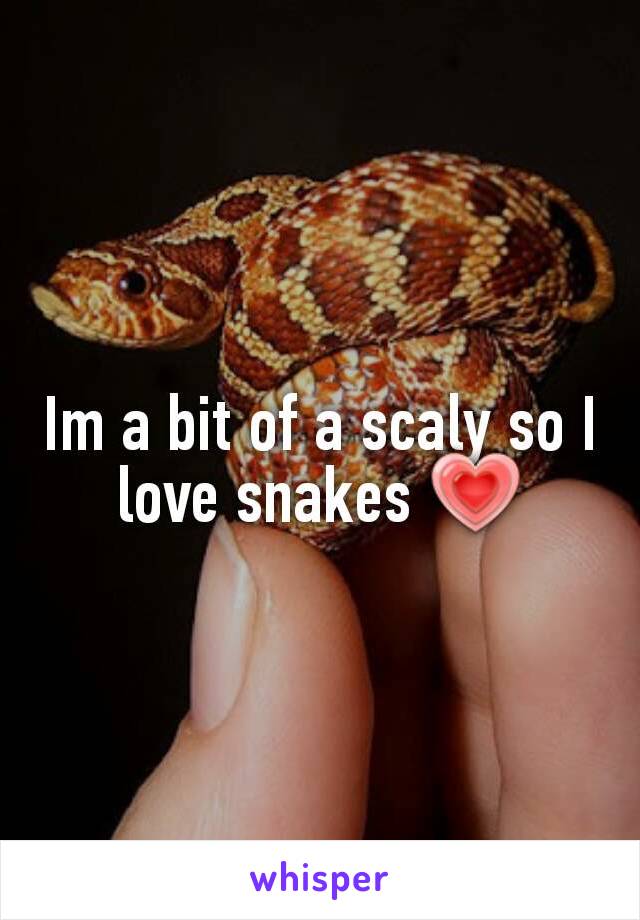 Im a bit of a scaly so I love snakes 💗