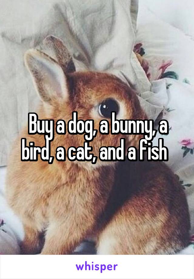 Buy a dog, a bunny, a bird, a cat, and a fish  