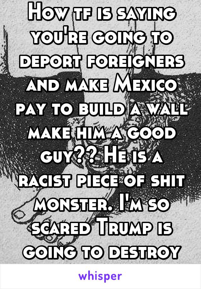 How tf is saying you're going to deport foreigners and make Mexico pay to build a wall make him a good guy?? He is a racist piece of shit monster. I'm so scared Trump is going to destroy America.