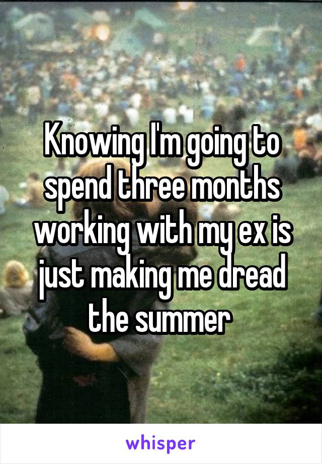 Knowing I'm going to spend three months working with my ex is just making me dread the summer 