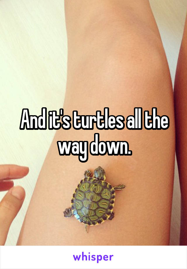 And it's turtles all the way down.