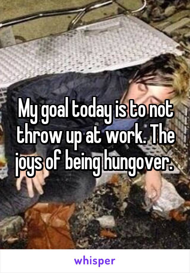 My goal today is to not throw up at work. The joys of being hungover. 