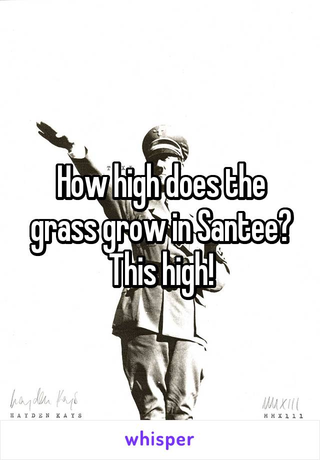 How high does the grass grow in Santee?
This high!