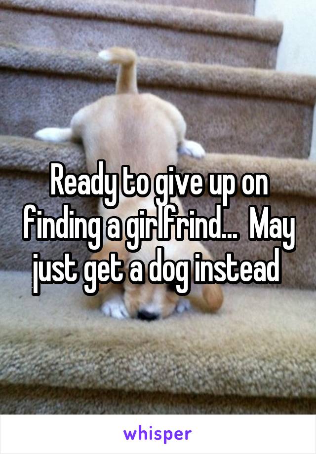 Ready to give up on finding a girlfrind...  May just get a dog instead 
