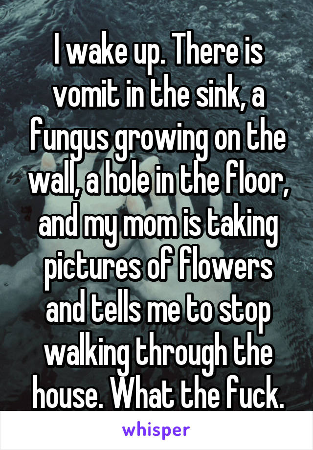 I wake up. There is vomit in the sink, a fungus growing on the wall, a hole in the floor, and my mom is taking pictures of flowers and tells me to stop walking through the house. What the fuck.