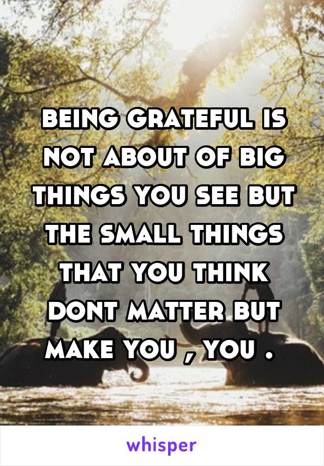 being grateful is not about of big things you see but the small things that you think dont matter but make you , you . 