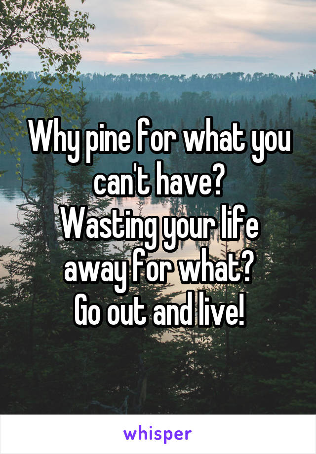Why pine for what you can't have?
Wasting your life away for what?
Go out and live!