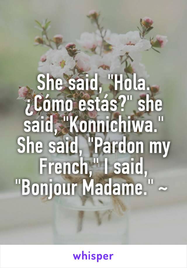She said, "Hola. ¿Cómo estás?" she said, "Konnichiwa."
She said, "Pardon my French," I said, "Bonjour Madame." ~ 