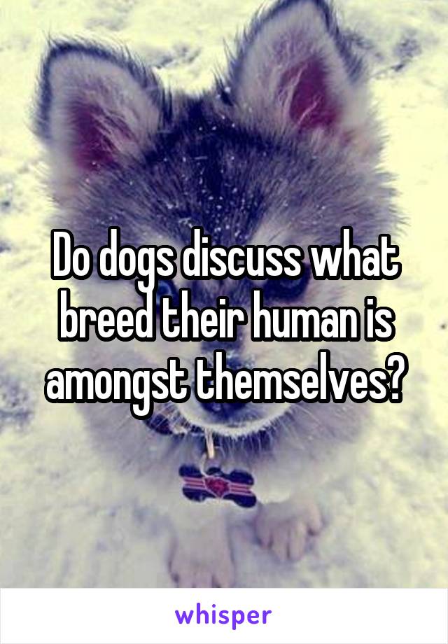 Do dogs discuss what breed their human is amongst themselves?