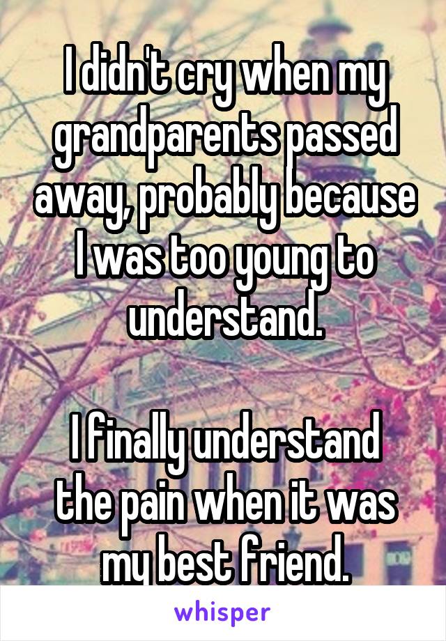I didn't cry when my grandparents passed away, probably because I was too young to understand.

I finally understand the pain when it was my best friend.