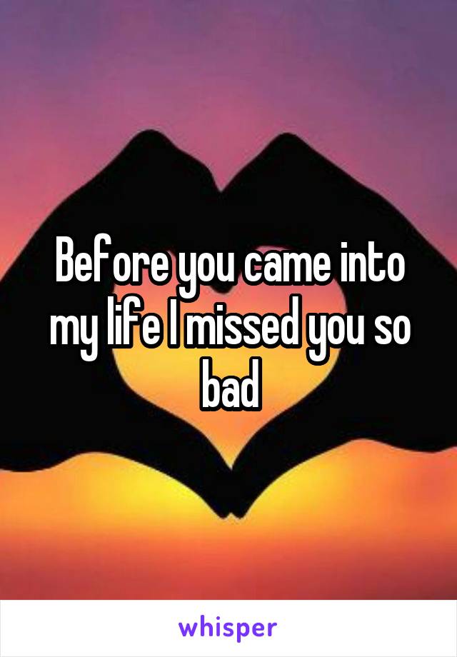 Before you came into my life I missed you so bad