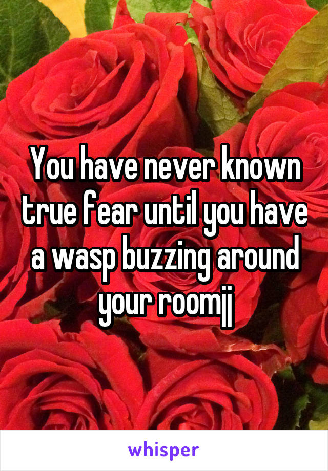 You have never known true fear until you have a wasp buzzing around your roomjj