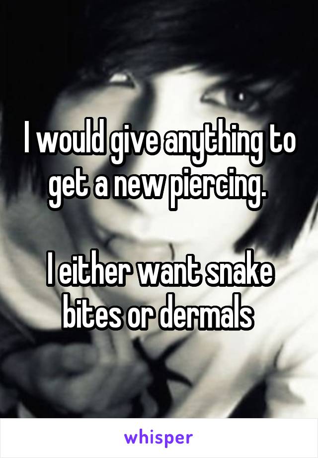 I would give anything to get a new piercing. 

I either want snake bites or dermals 
