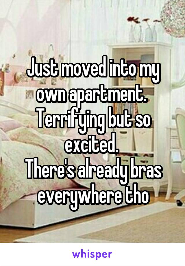Just moved into my own apartment. 
Terrifying but so excited. 
There's already bras everywhere tho