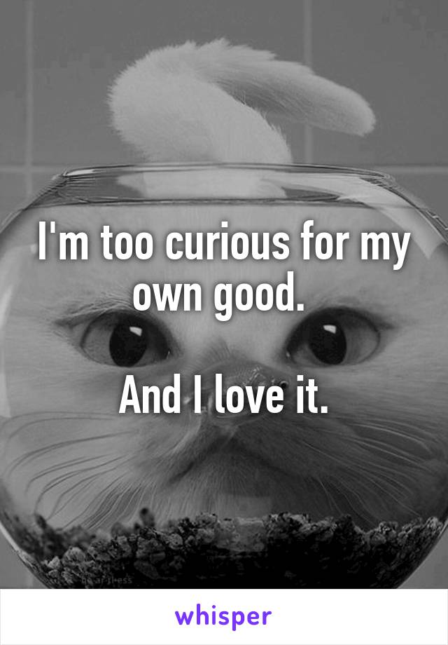I'm too curious for my own good. 

And I love it.