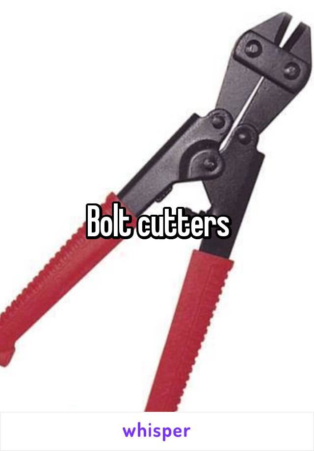 Bolt cutters