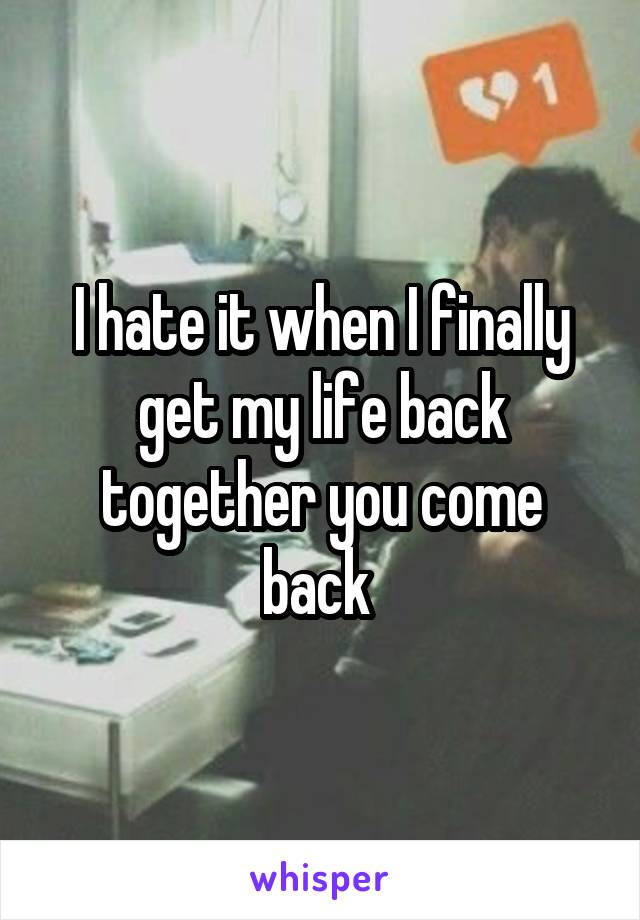 I hate it when I finally get my life back together you come back 