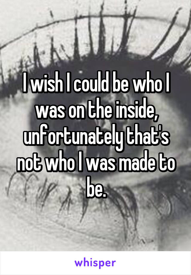 I wish I could be who I was on the inside, unfortunately that's not who I was made to be.