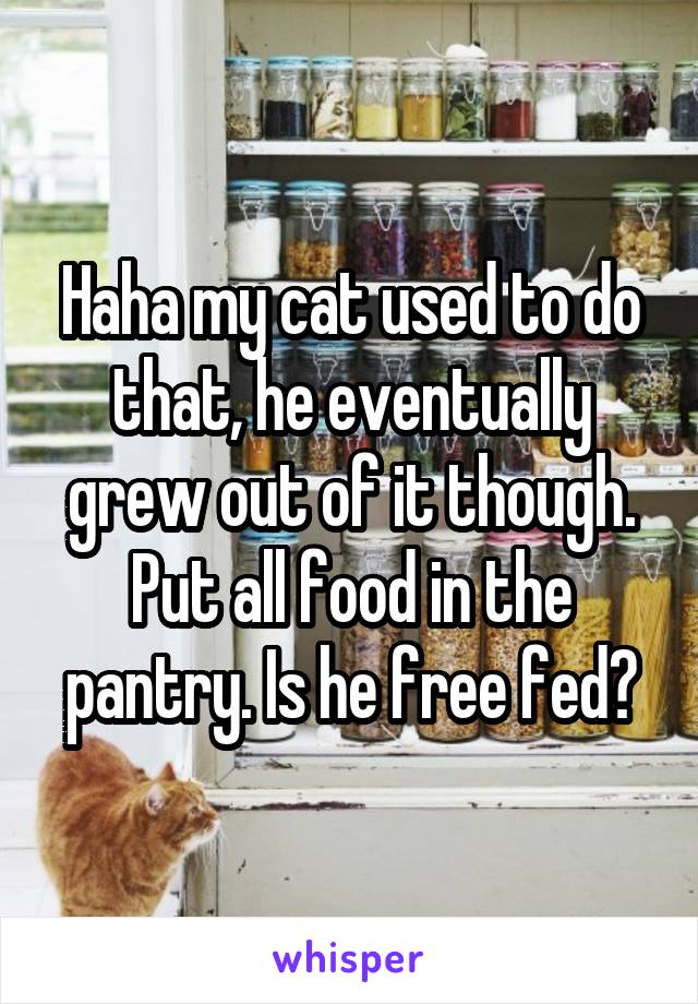 Haha my cat used to do that, he eventually grew out of it though. Put all food in the pantry. Is he free fed?
