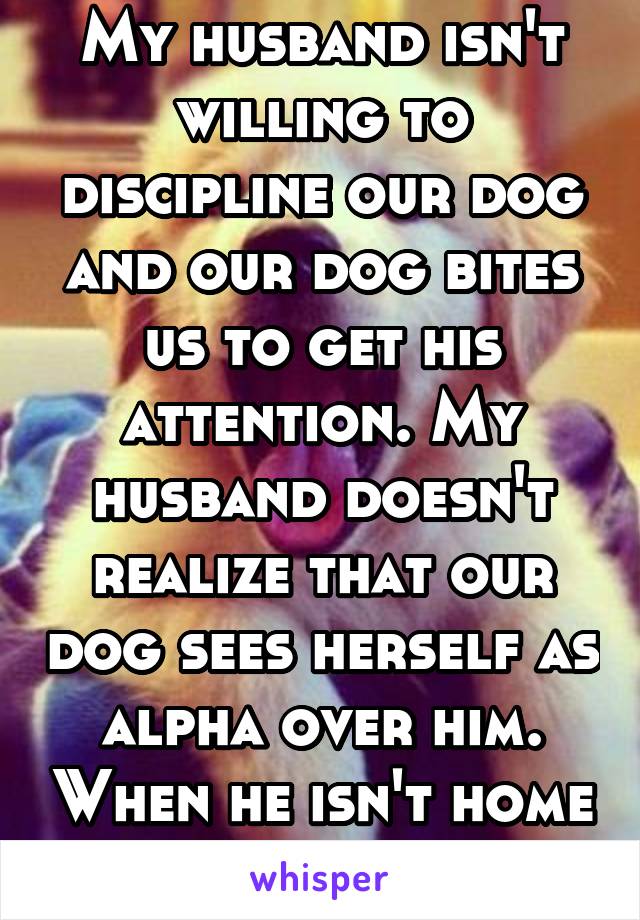 My husband isn't willing to discipline our dog and our dog bites us to get his attention. My husband doesn't realize that our dog sees herself as alpha over him. When he isn't home our dog is good.