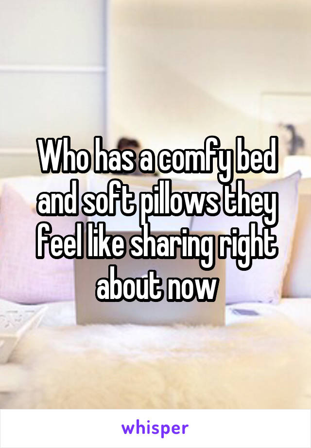 Who has a comfy bed and soft pillows they feel like sharing right about now