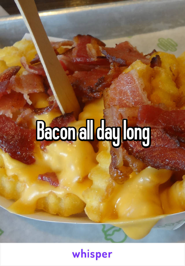 Bacon all day long