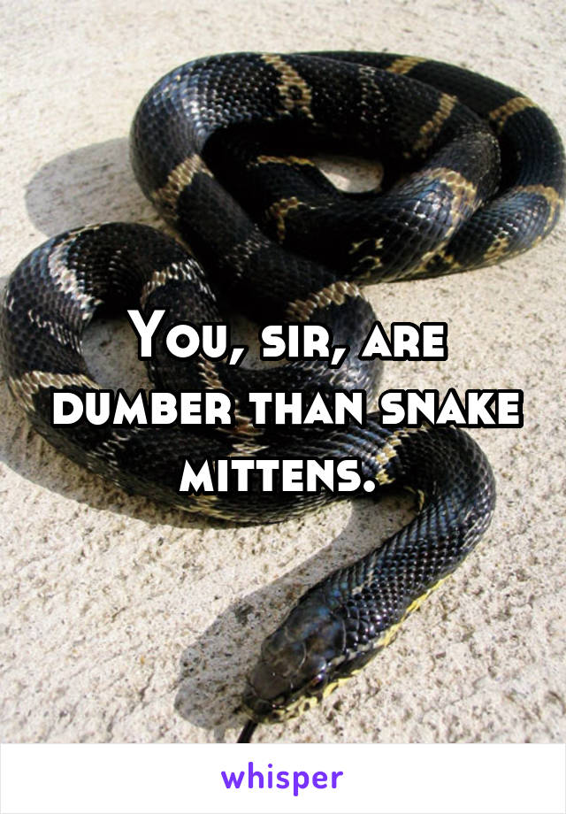 You, sir, are dumber than snake mittens. 