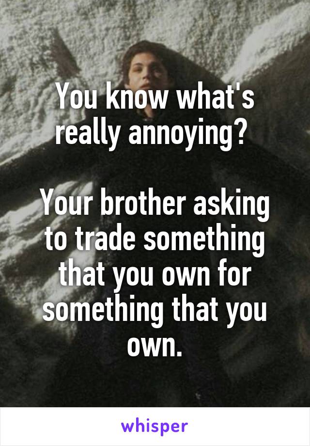 You know what's really annoying? 

Your brother asking to trade something that you own for something that you own.