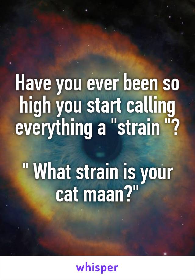 Have you ever been so high you start calling everything a "strain "?

" What strain is your cat maan?"