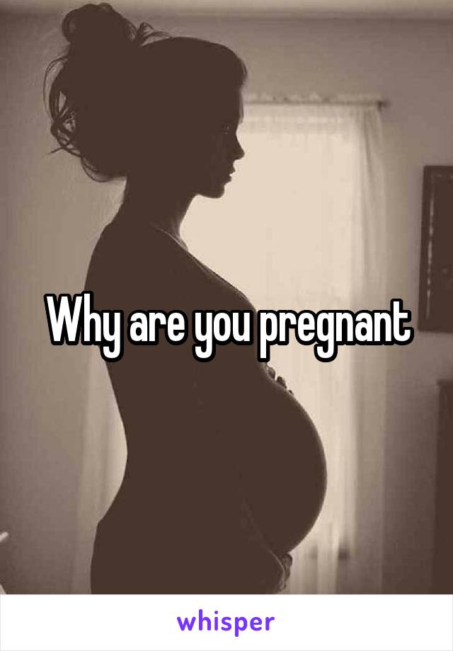 Why are you pregnant