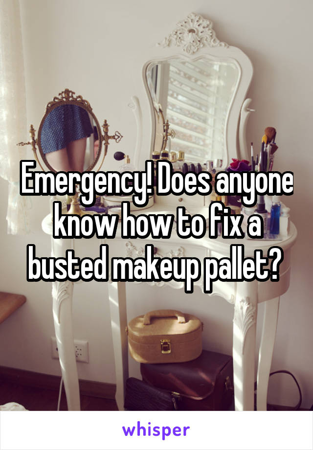 Emergency! Does anyone know how to fix a busted makeup pallet? 