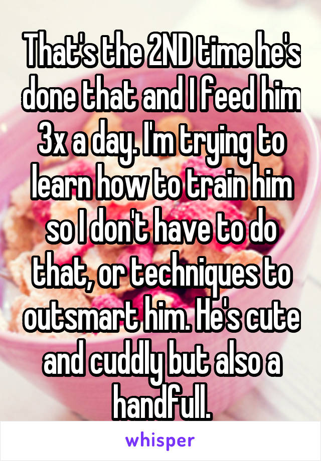 That's the 2ND time he's done that and I feed him 3x a day. I'm trying to learn how to train him so I don't have to do that, or techniques to outsmart him. He's cute and cuddly but also a handfull.