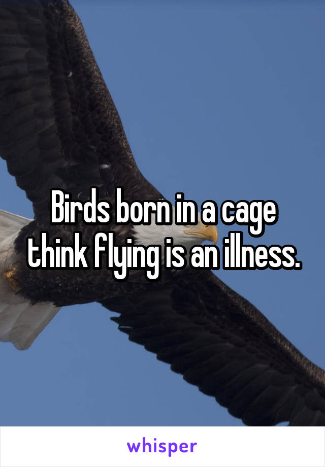 Birds born in a cage think flying is an illness.