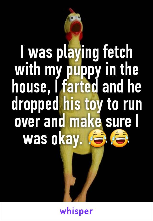 I was playing fetch with my puppy in the house, I farted and he dropped his toy to run over and make sure I was okay. 😂😂