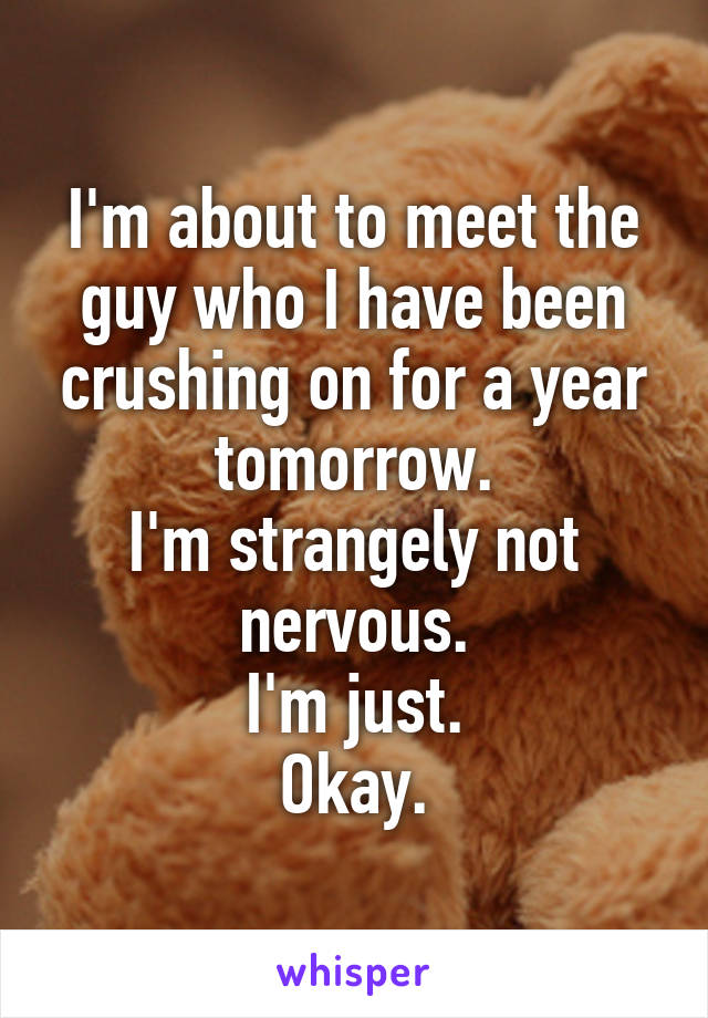 I'm about to meet the guy who I have been crushing on for a year tomorrow.
I'm strangely not nervous.
I'm just.
Okay.