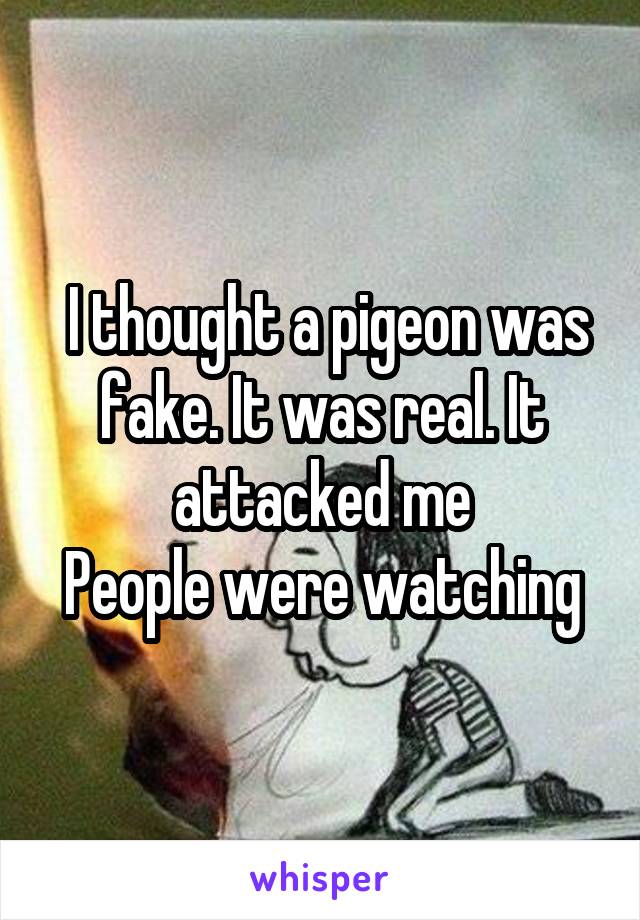  I thought a pigeon was fake. It was real. It attacked me
People were watching