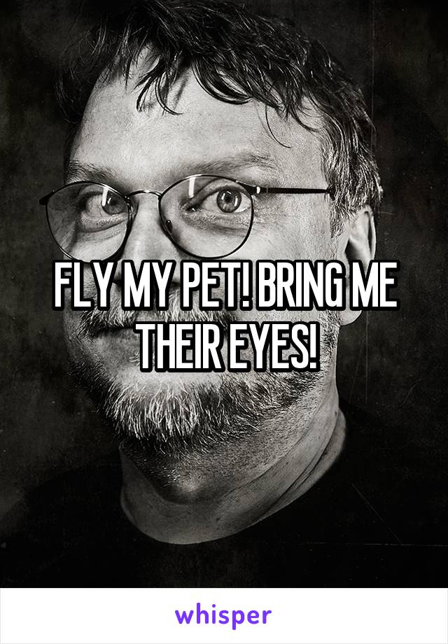 FLY MY PET! BRING ME THEIR EYES!