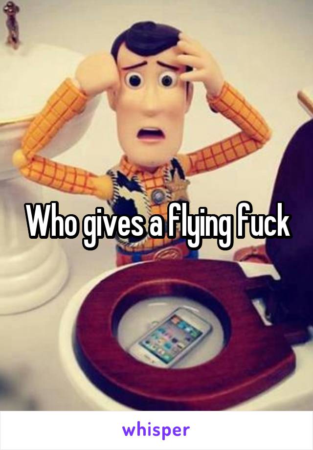 Who gives a flying fuck