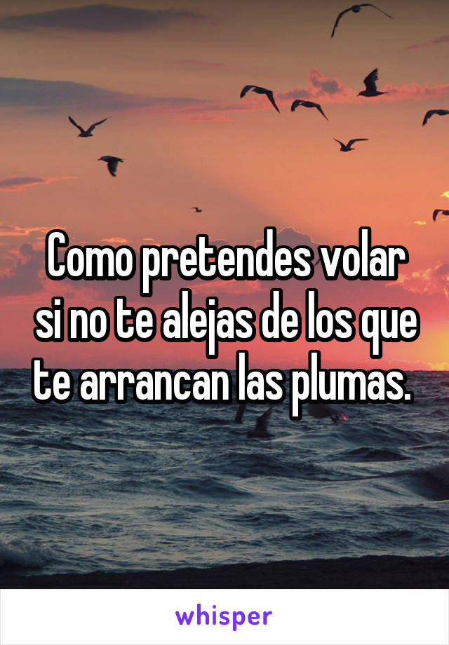 Como pretendes volar si no te alejas de los que te arrancan las plumas. 