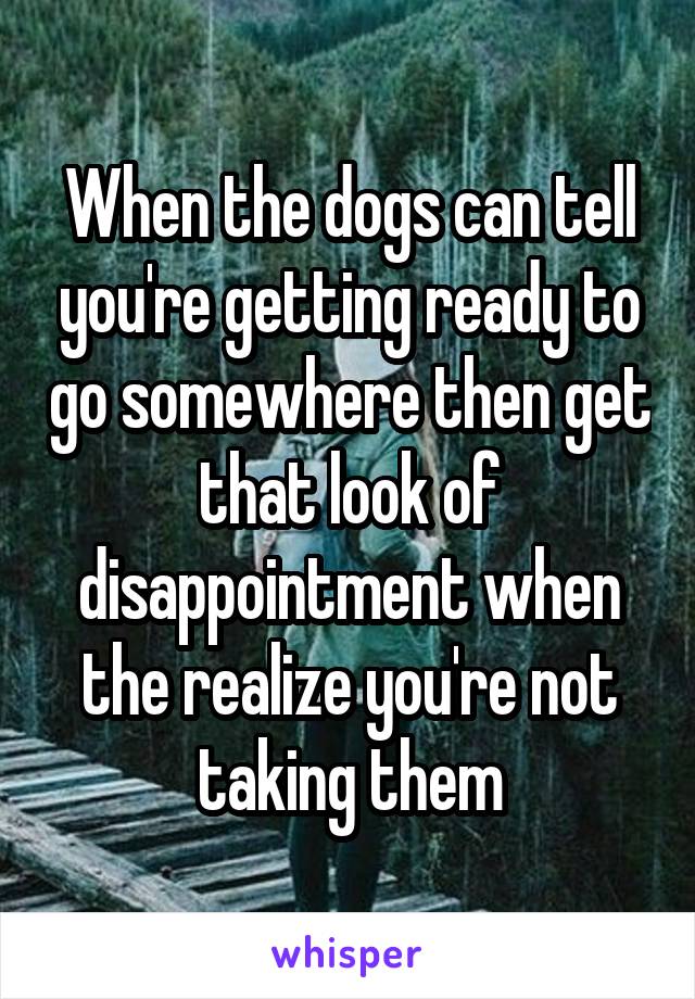 When the dogs can tell you're getting ready to go somewhere then get that look of disappointment when the realize you're not taking them