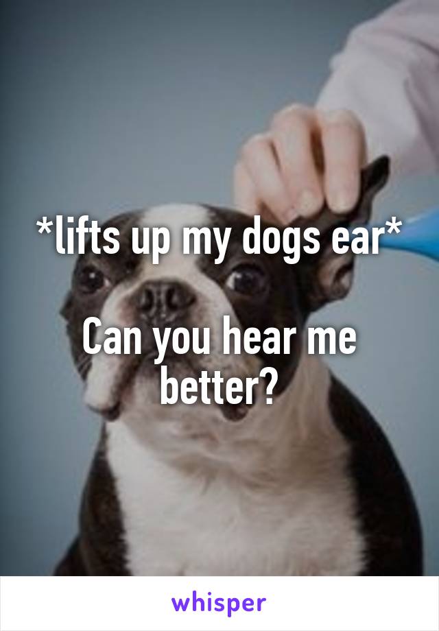 *lifts up my dogs ear*

Can you hear me better?