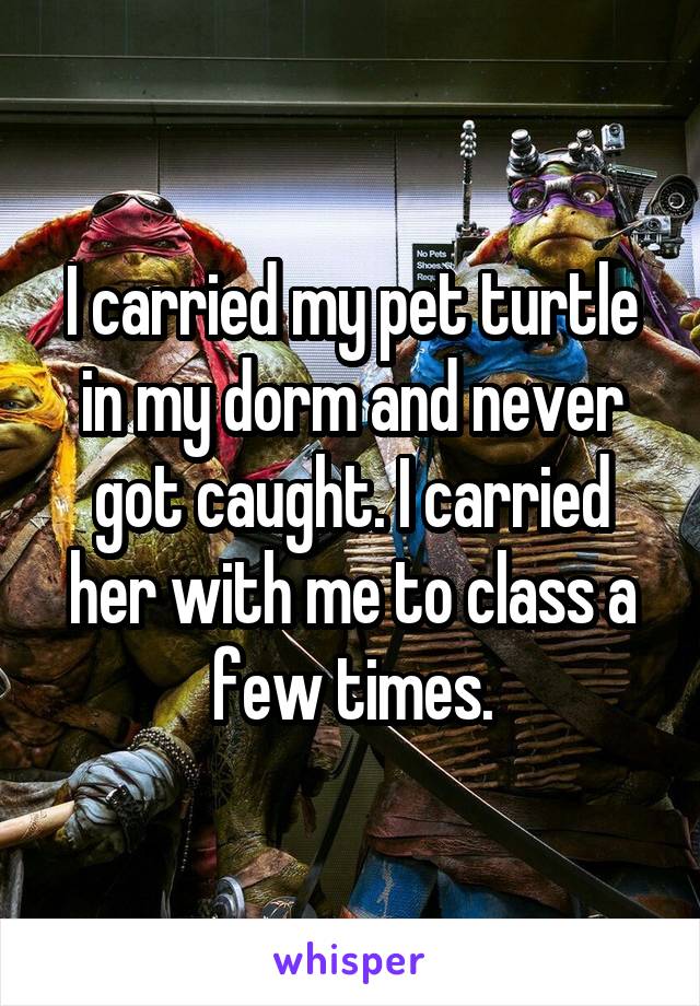 I carried my pet turtle in my dorm and never got caught. I carried her with me to class a few times.