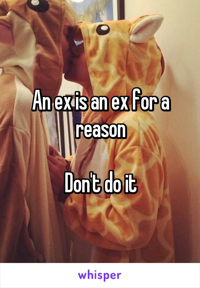 An ex is an ex for a reason

Don't do it
