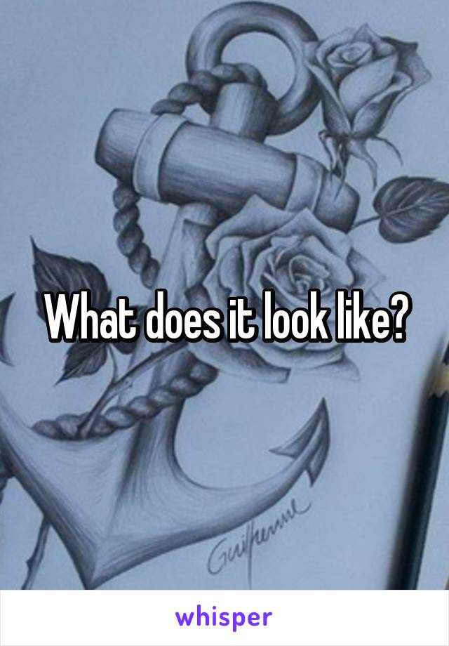 What does it look like?