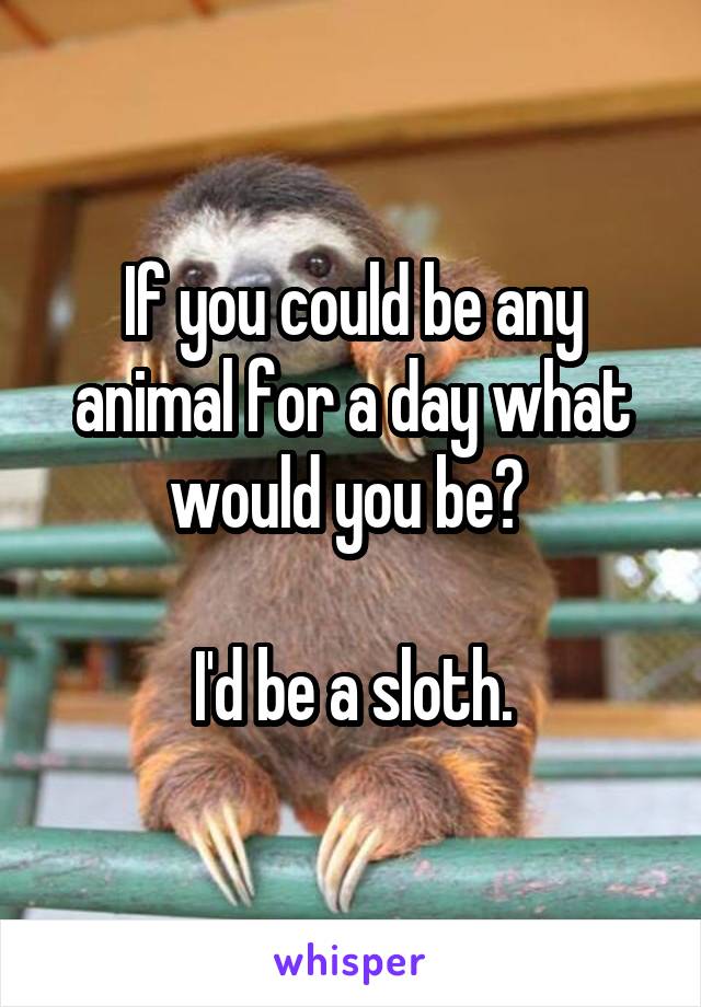 If you could be any animal for a day what would you be? 

I'd be a sloth.