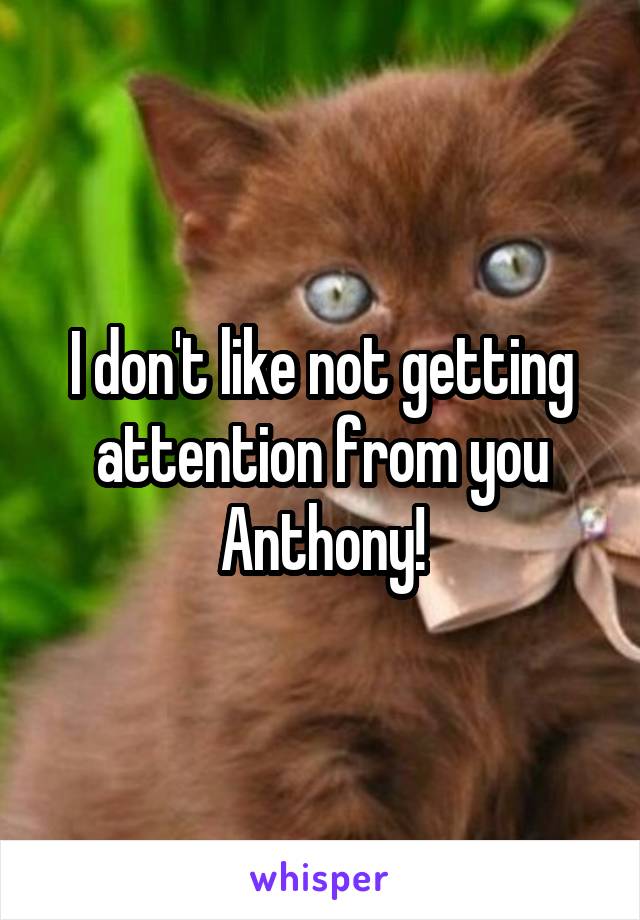 I don't like not getting attention from you Anthony!