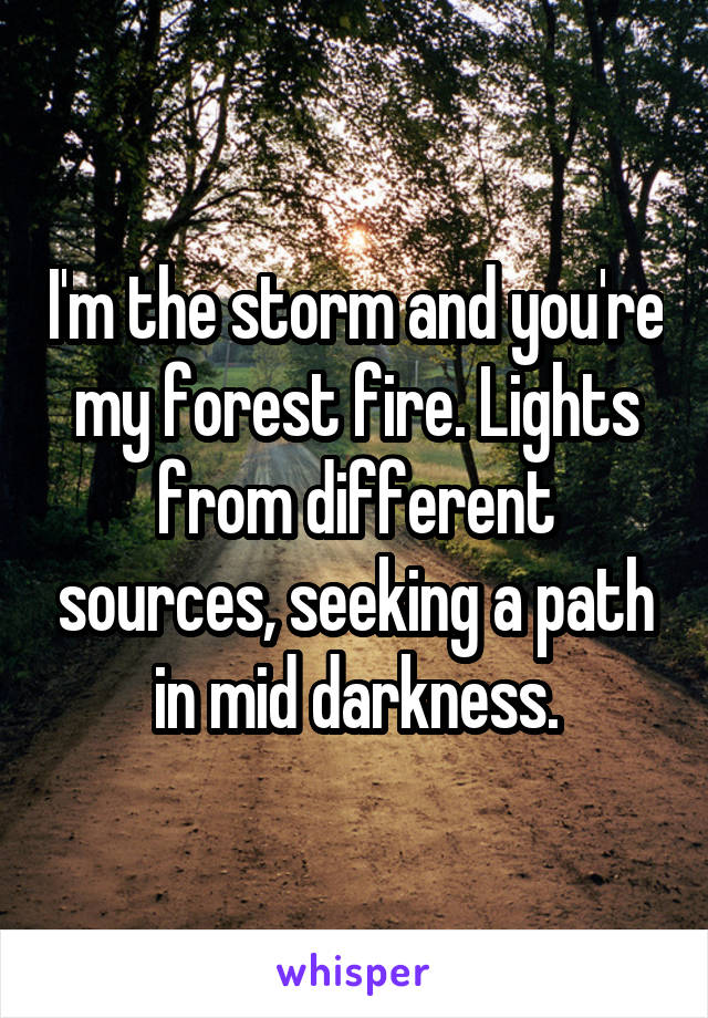 I'm the storm and you're my forest fire. Lights from different sources, seeking a path in mid darkness.