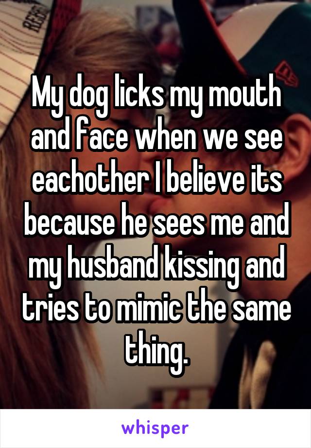 My dog licks my mouth and face when we see eachother I believe its because he sees me and my husband kissing and tries to mimic the same thing.